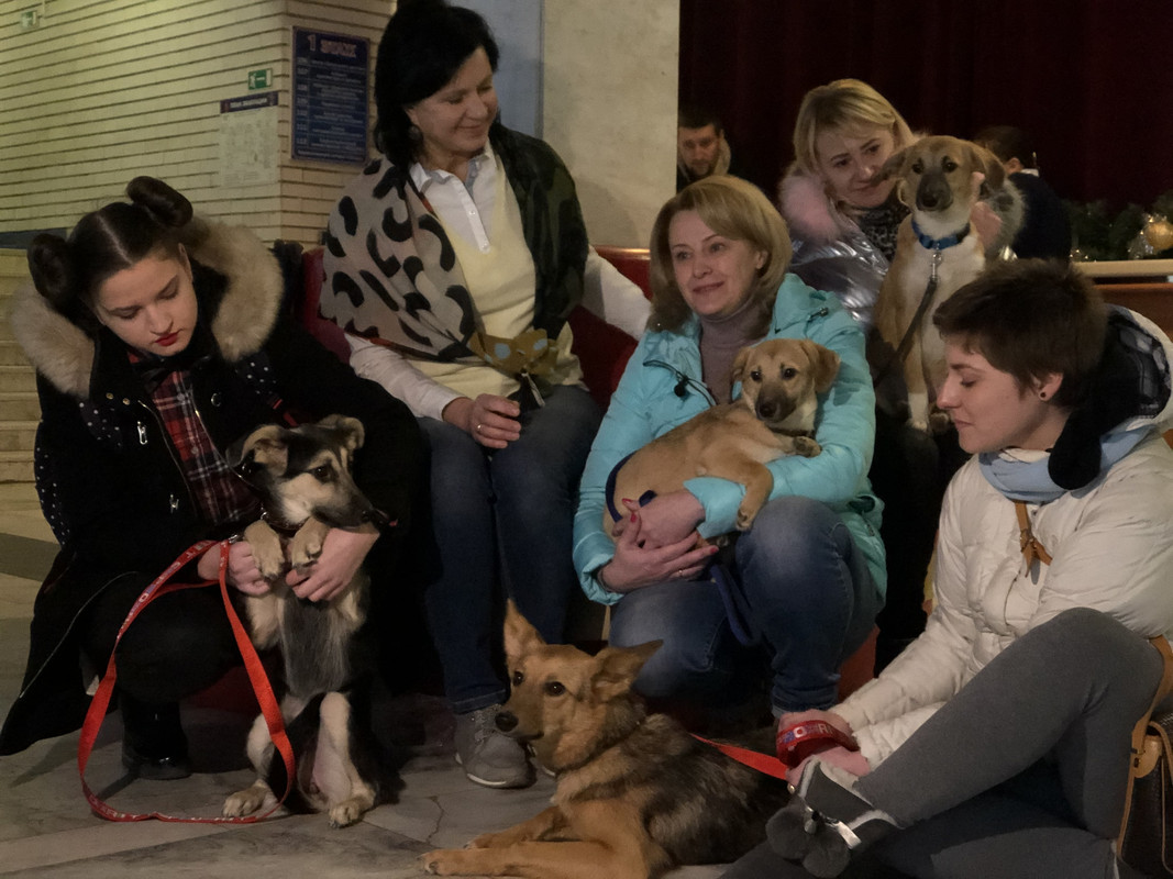 1086E1DE-6E43-47DF-9137-5DD347C0A22E