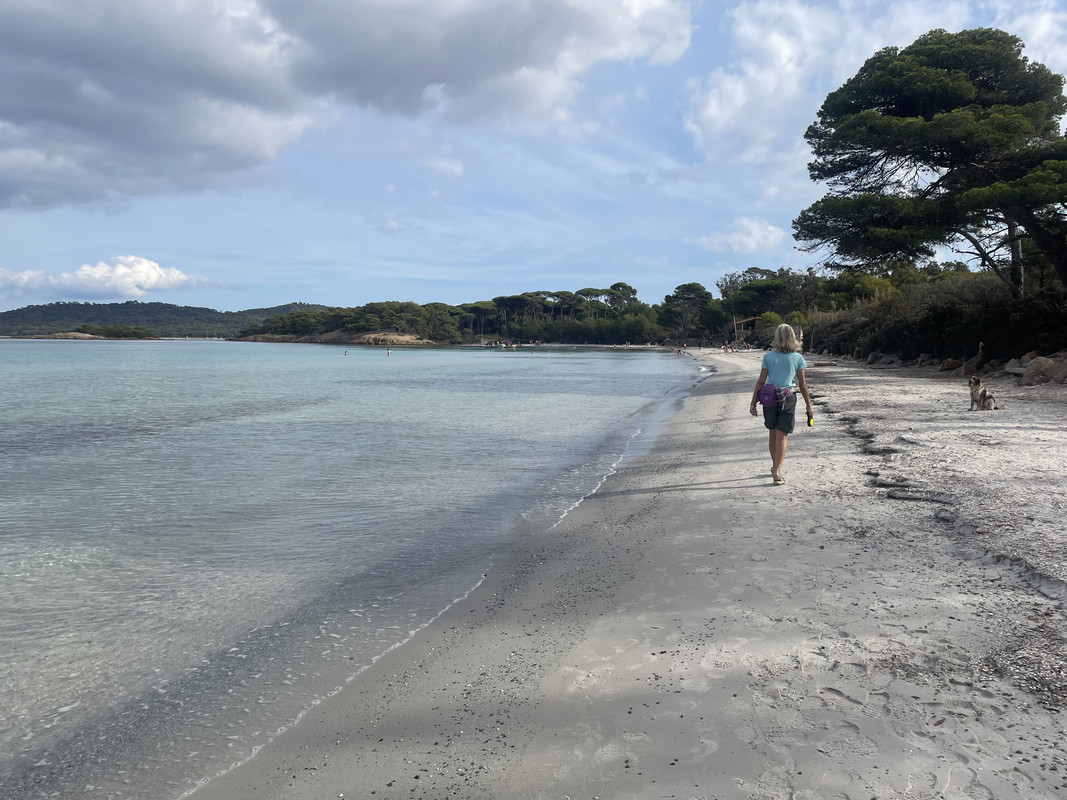 2E4E42F1-0157-4CF0-A7E2-97A0BEEBA1D8