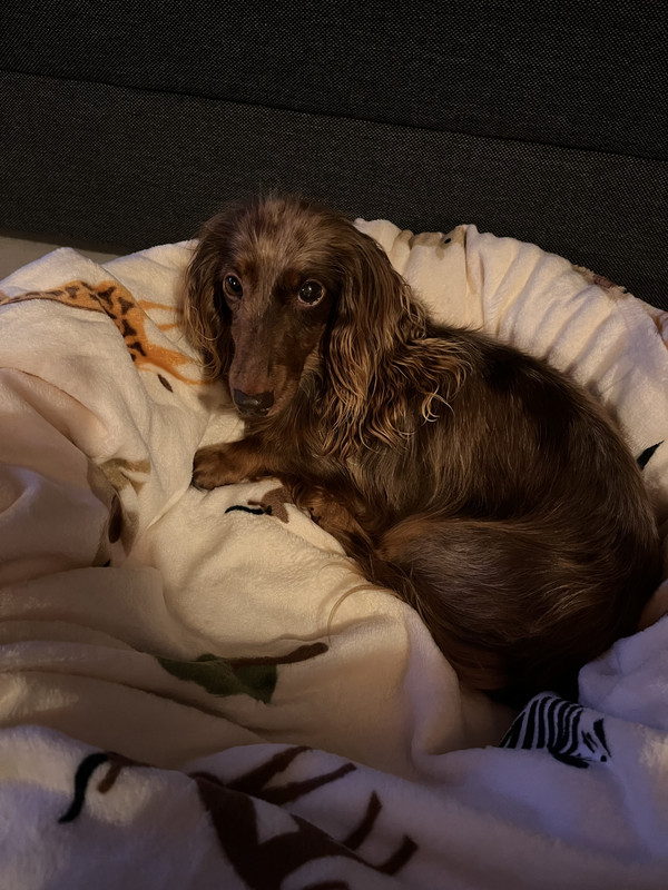 [Image: IMG-1157.jpg]