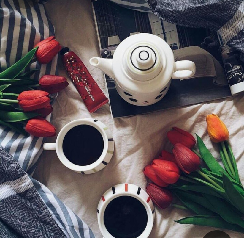 Screenshot_20230310_233629_Pinterest