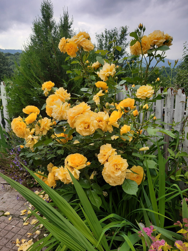 20190605_172812