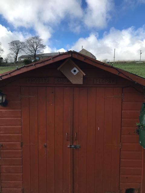 New Sideview box mounted under the eaves of the shed.