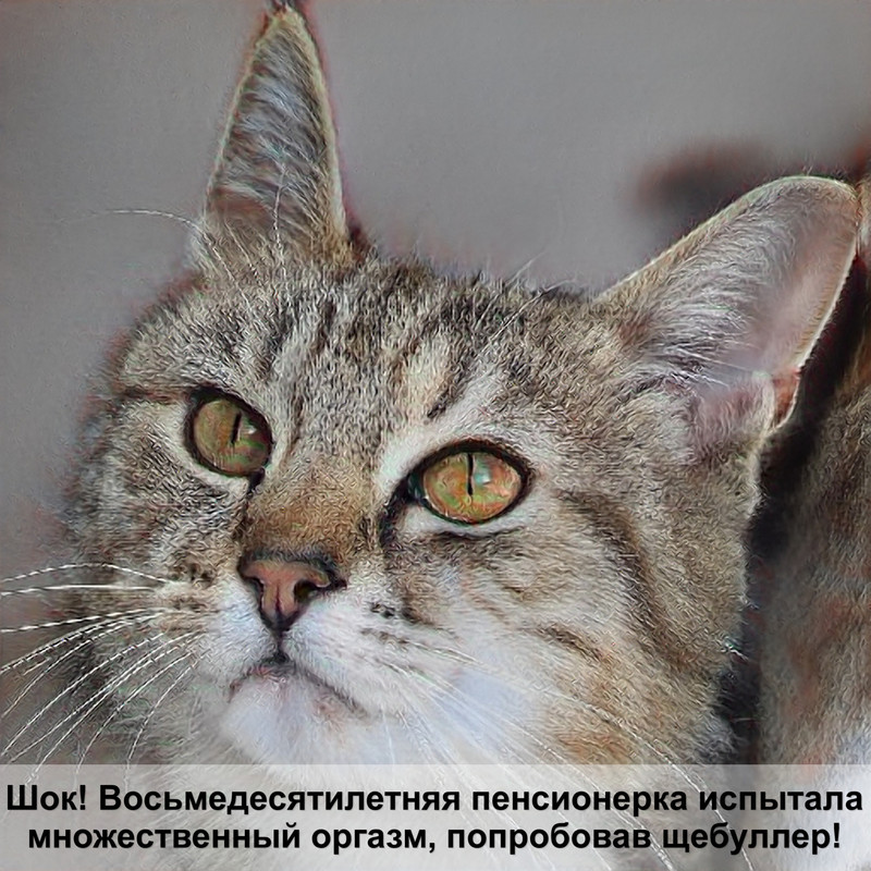 самая старая черепаха