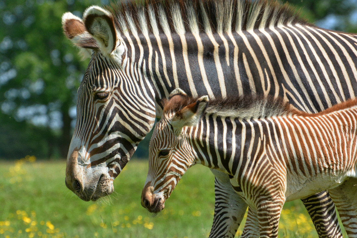 D5247261-4C98-4475-B7B3-FDCF9820720A