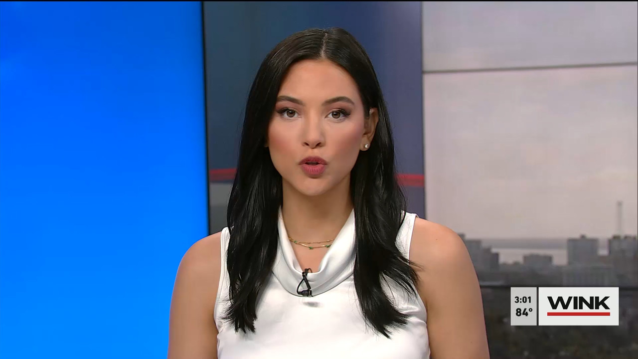 02.17 - 20.00.00 - WINK News at 3pm  ᴺᵉʷ..ts_snapshot_00.08.01.276
