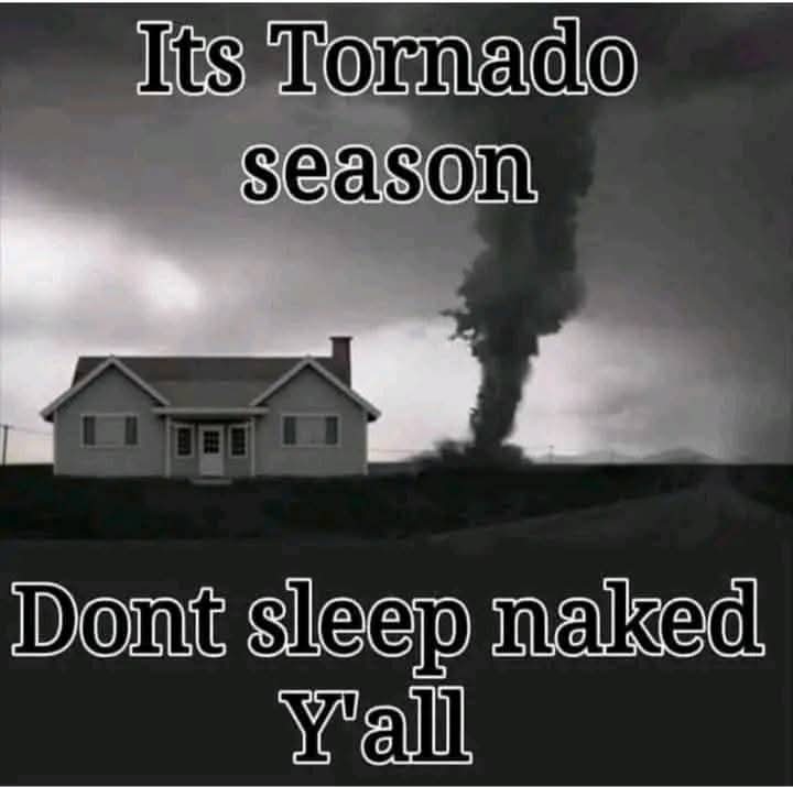 [Linked Image]