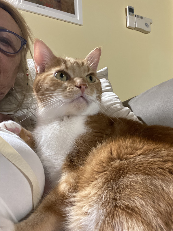 E4714C19-6589-409D-8FAD-D60D80EF5927