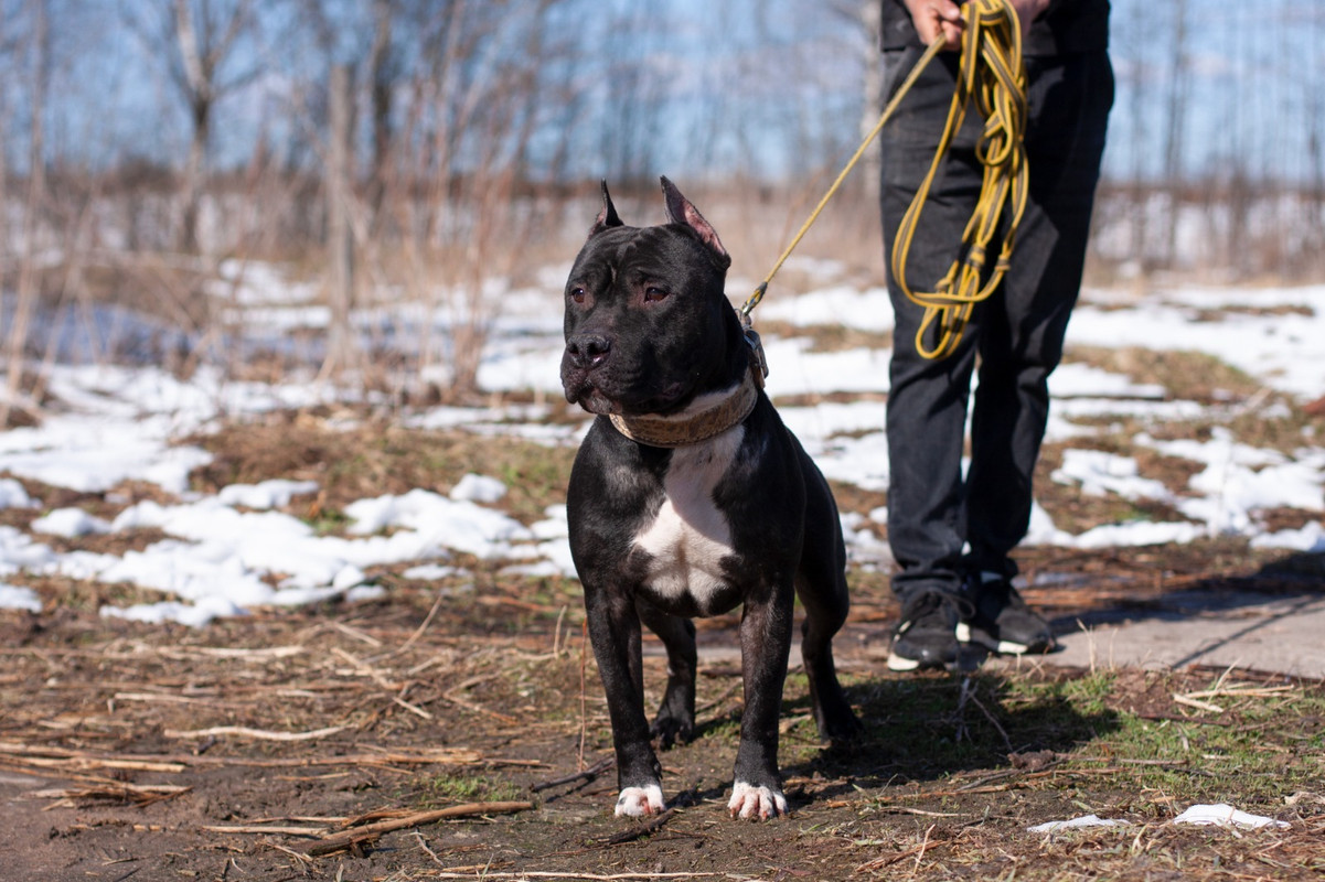 WhatsApp Image 2025-04-20 at 17.03.36 (2)