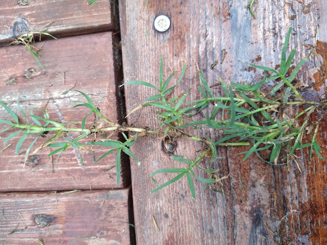 IMG_20210620_135209829