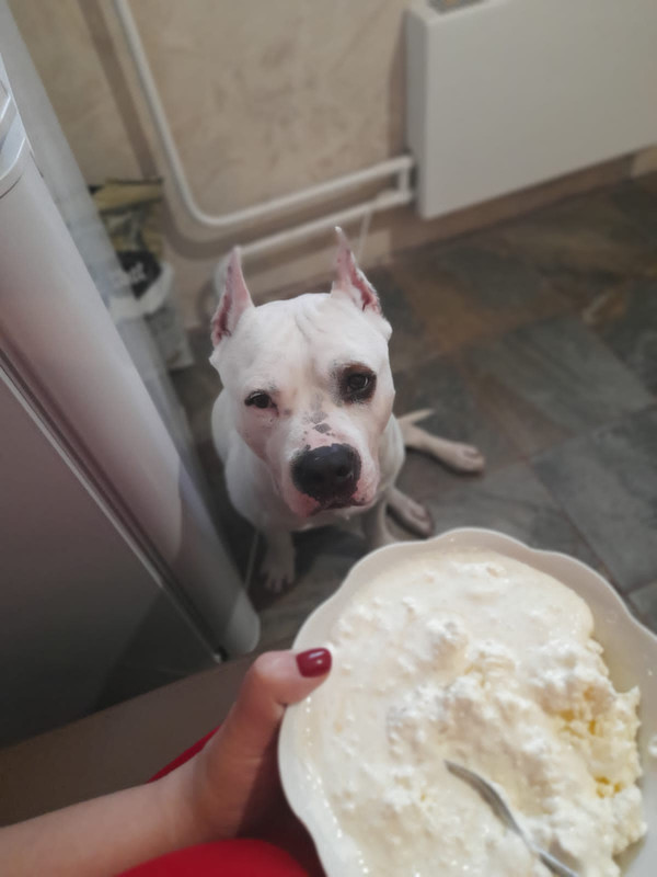 812DE530-2324-4BBC-B6FC-2FA3A65193CA