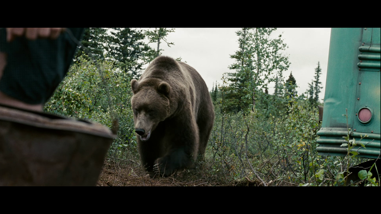 vlcsnap-2024-02-06-19h17m35s442