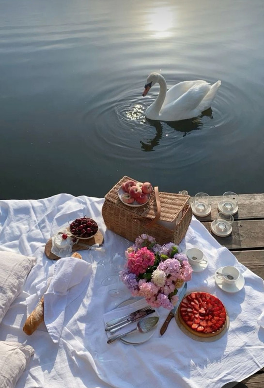 Screenshot_20240325_233812_Pinterest