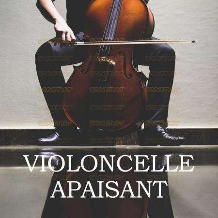 Various Artists - Violoncelle Apaisant (Musique Classique) (2021)