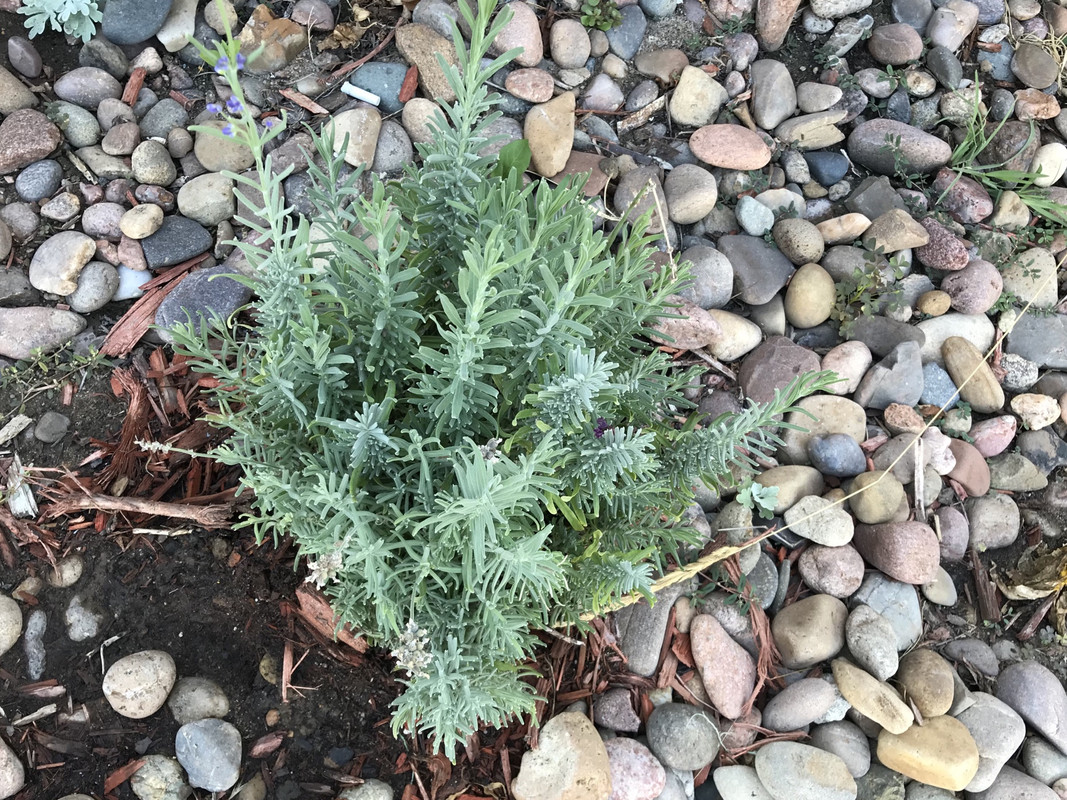 FF058C34-CFAB-4471-8E43-76AEBCEBCCCD