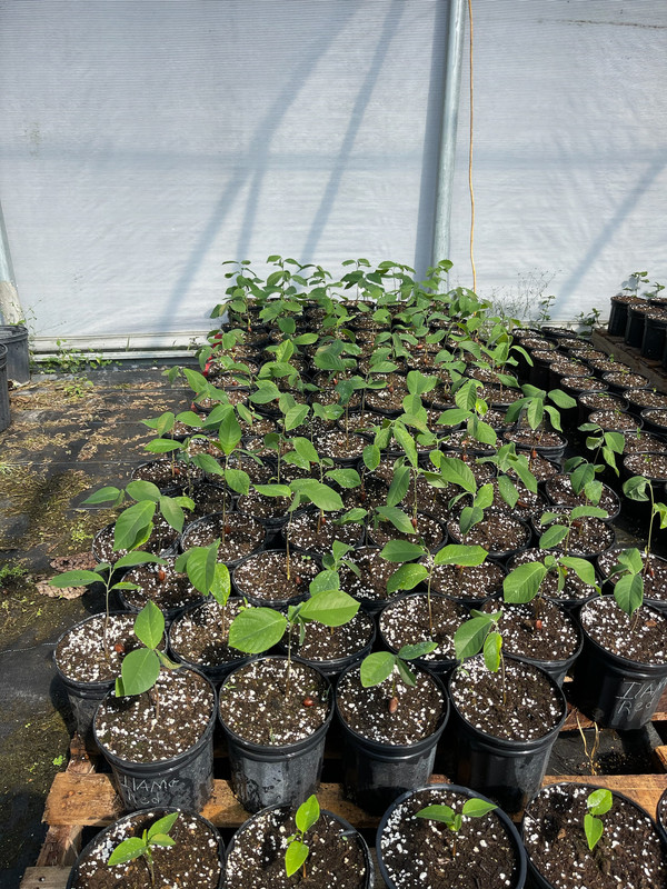 59F94C3C-7D89-4B73-AF7E-87F229AFAAF9