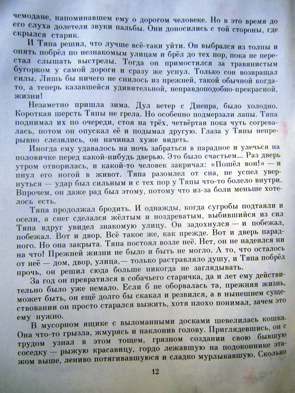 IMG-5005