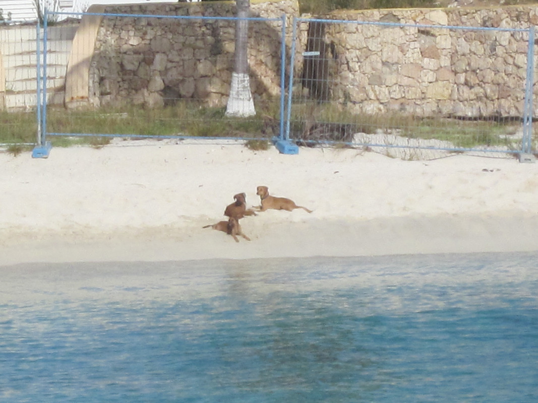 Eric Painter Sugar Land (5)