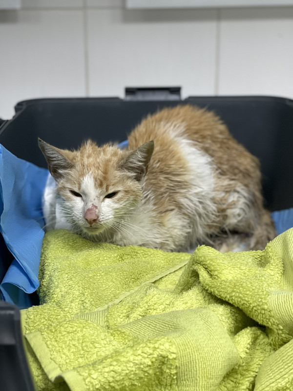 CAE68F79-4CD6-4B46-8E1B-B99D2EBB3A41