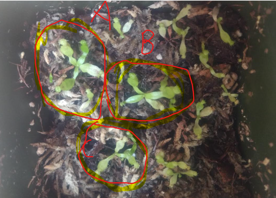 Annotation 2019-08-21 172408