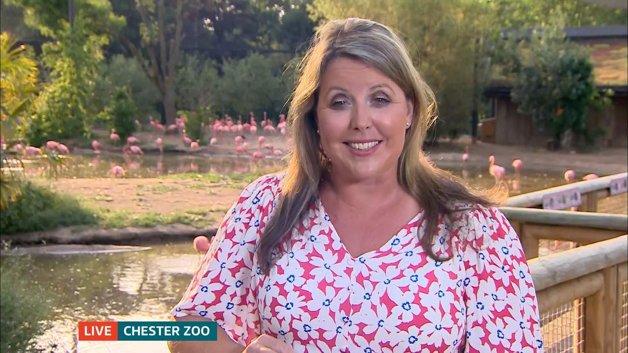 ITV Evening News_20220718_18301930.ts_snapshot_44.06.265