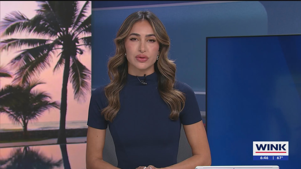 WINK NEWS at 600am Sunday_20241215_11001200.ts_snapshot_00.46.53.054
