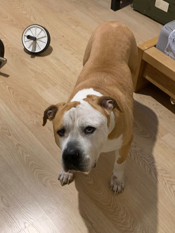 DBA03EAC-23FF-450B-A5A1-39C4B6415DB0