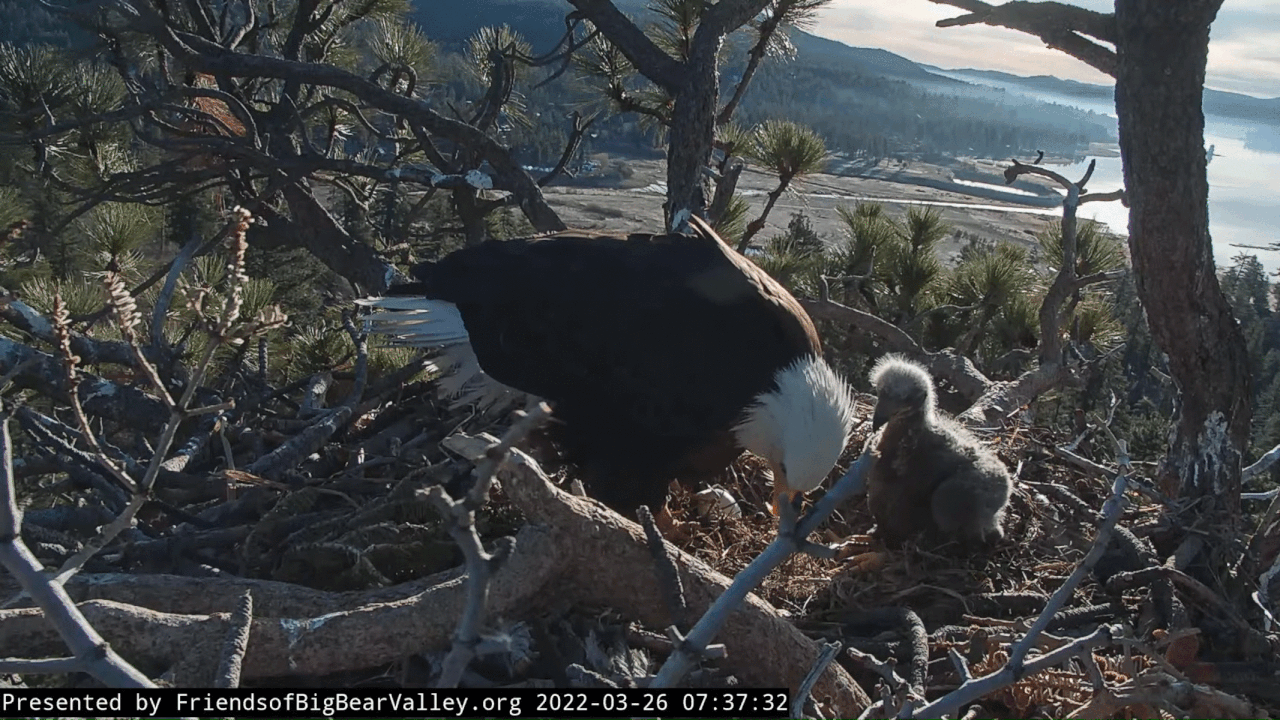 Webp.net-gifmaker (1)