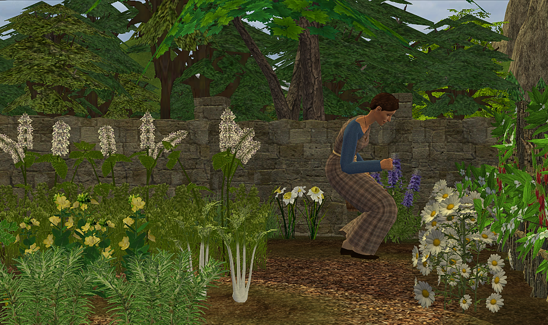 screenshot-2026-07-26-20-58