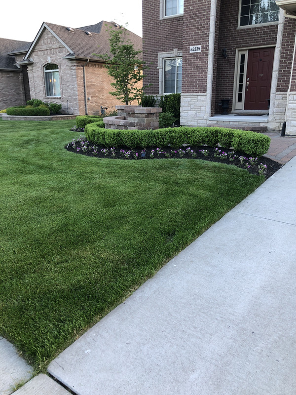 4F78E38C-6AFF-4045-A56A-6720ACC4C91F