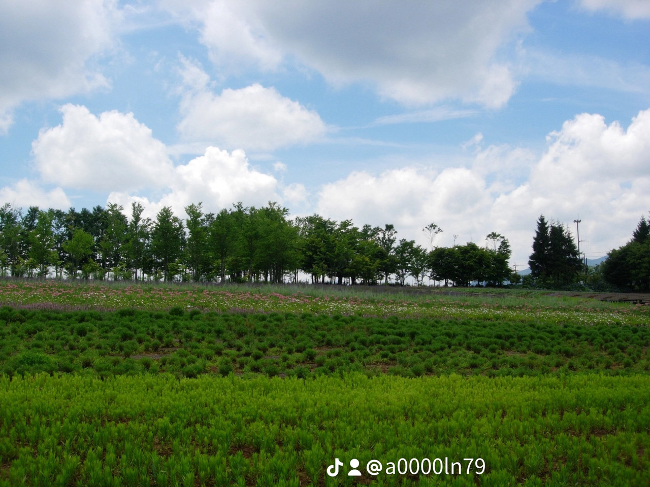 photo 45 2026 01 03 21 17 28