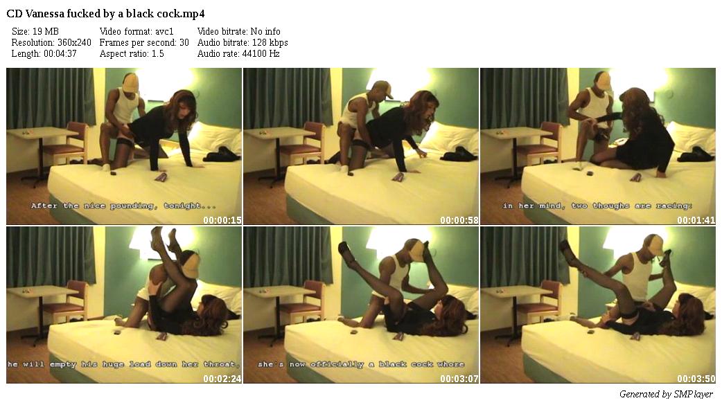 CD Vanessa fucked by a black cock_preview