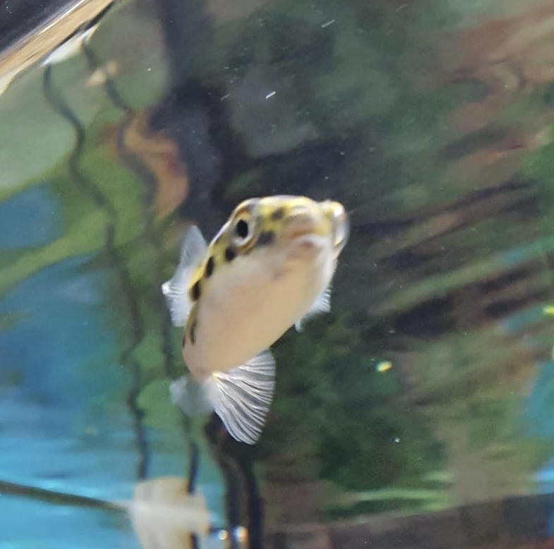 3B3AECDF-5F01-4C43-88C9-099C2195C033