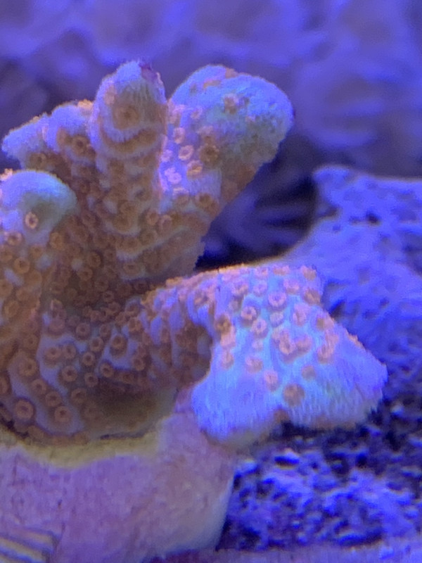 1A2A69F3-17D6-4D93-AE0C-000945E96FA0