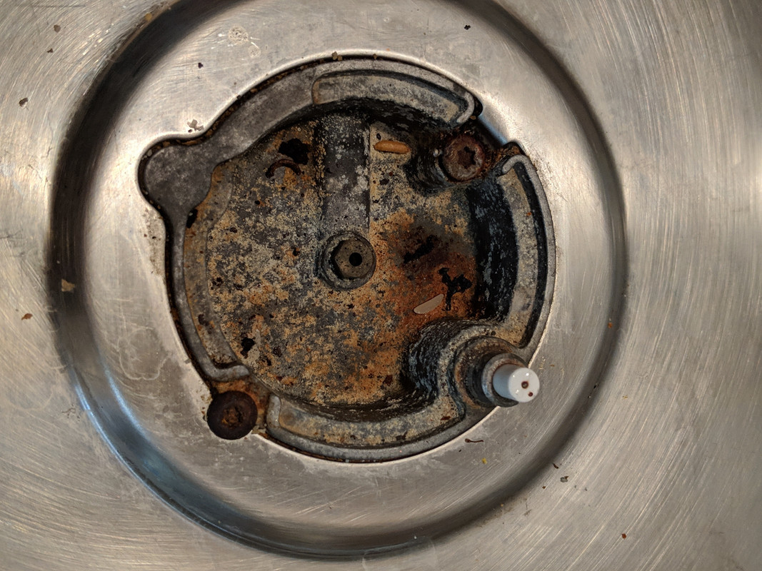 00000IMG_00000_BURST20181207193630871_COVER