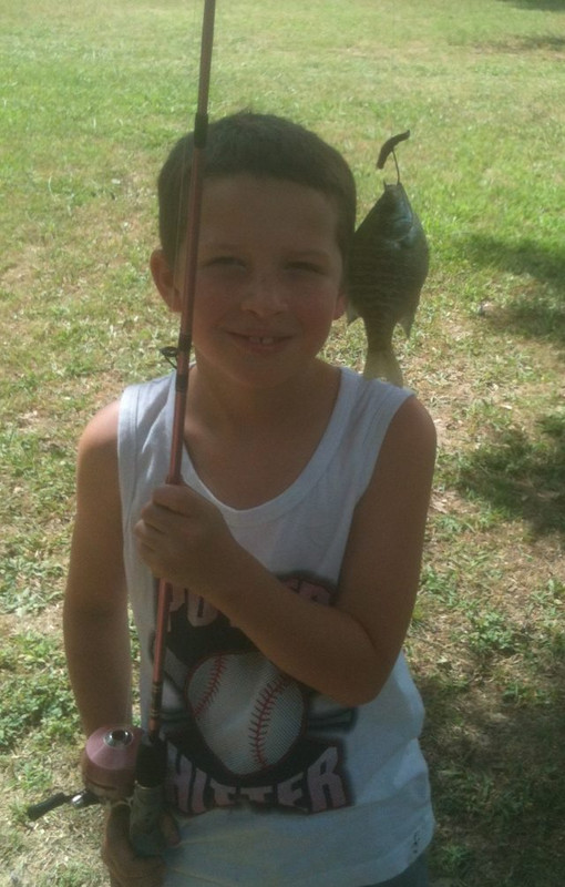 Derris fish