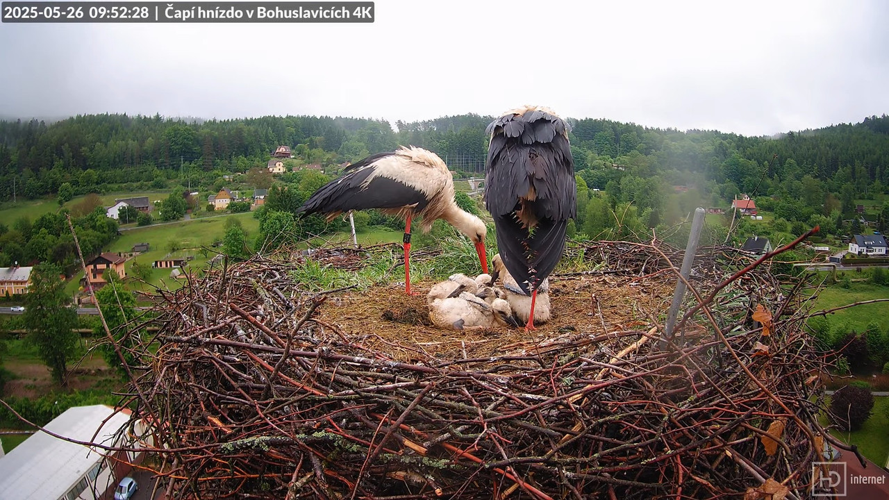 Tiešraide no KARA uzņēmuma stārķu skursteņa Bohuslavicē netālu no Trutnovas 9-41-47 screenshot