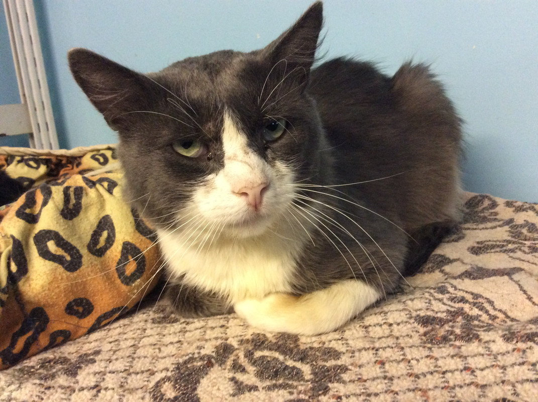 CF3E561D-3EAB-40BD-86FE-083BF4BC72C2