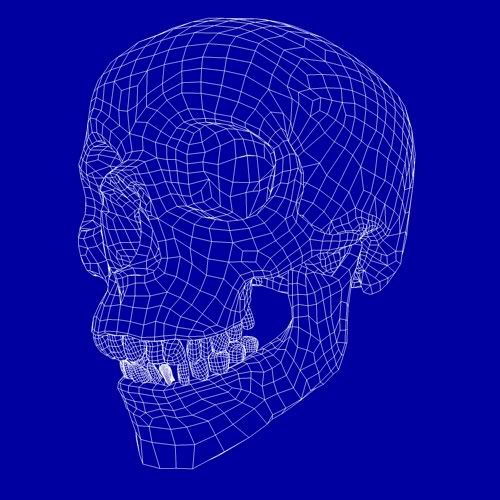 skull-1-wire.jpg