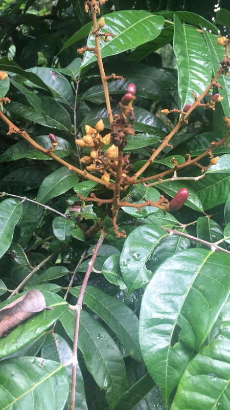 C3FCAA52-E0D1-4BCC-83B3-C7C270704AB2