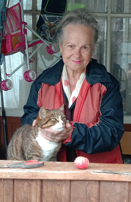 Подмосковье 5