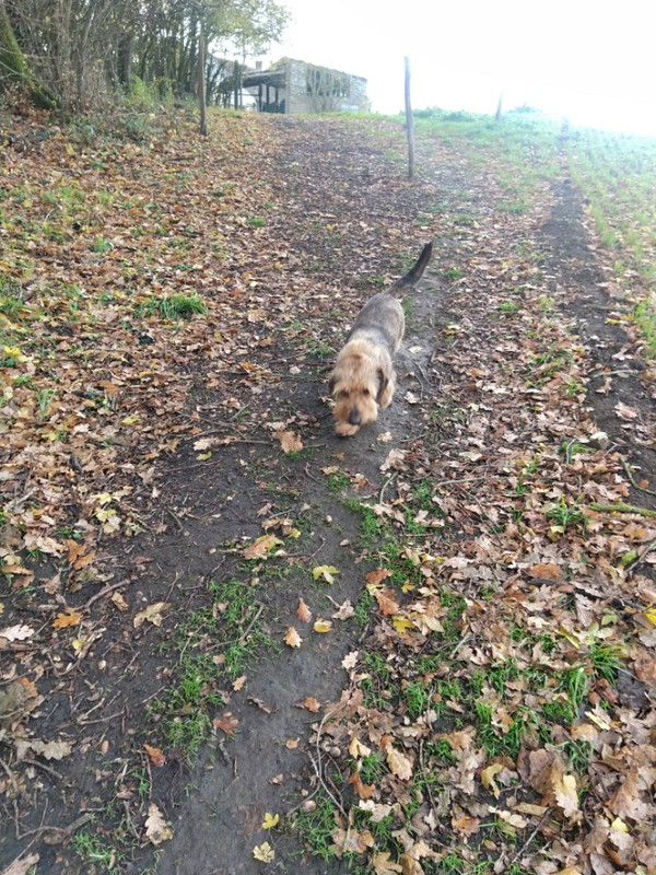 [Image: image000000-45.jpg]