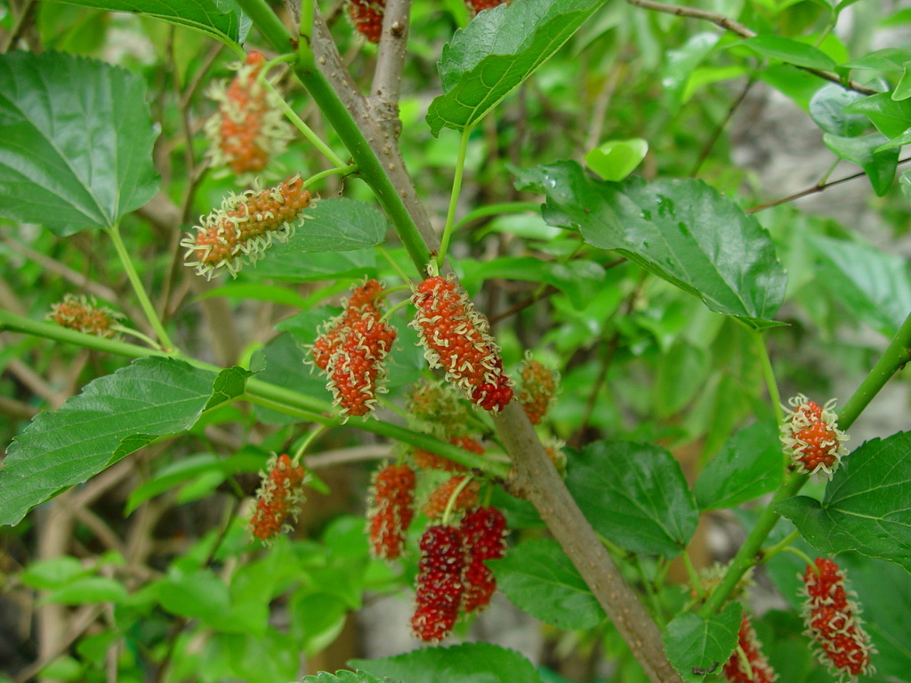 A05D2415-C6C6-4703-BD49-19996FD9EE51_1_105_c