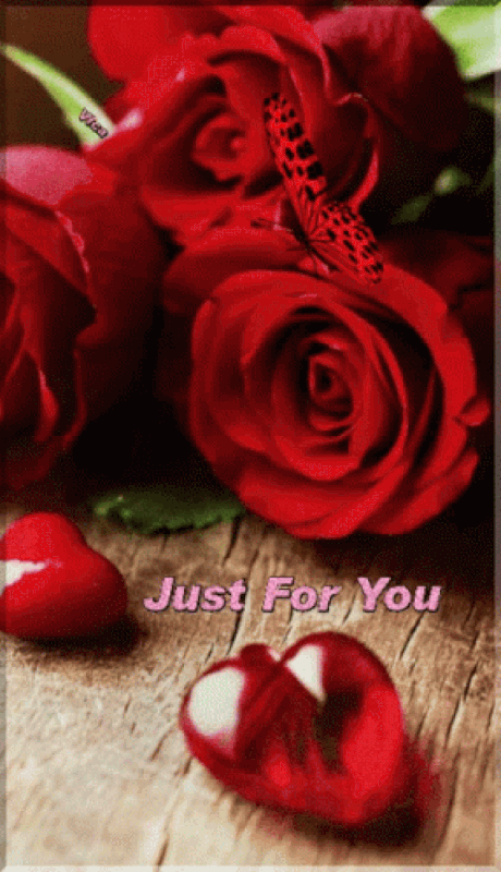 An den Beitrag angehängtes Bild: https://i.postimg.cc/sDpScP5t/oie-1883120-KPeh-Joc.gif