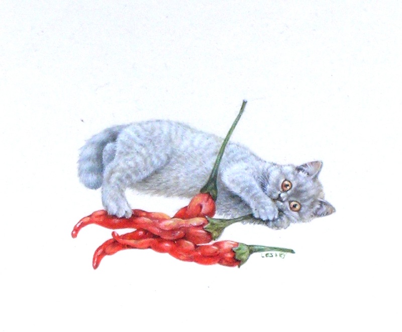 5-RACHELS-CAT-WITH-CAYENNE-1-C19764-1