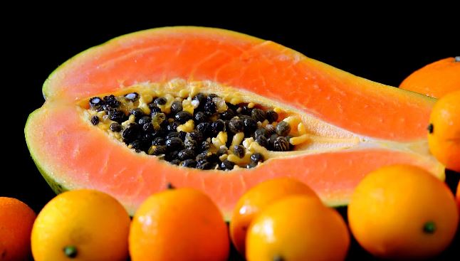 Can Rabbits Have Papaya