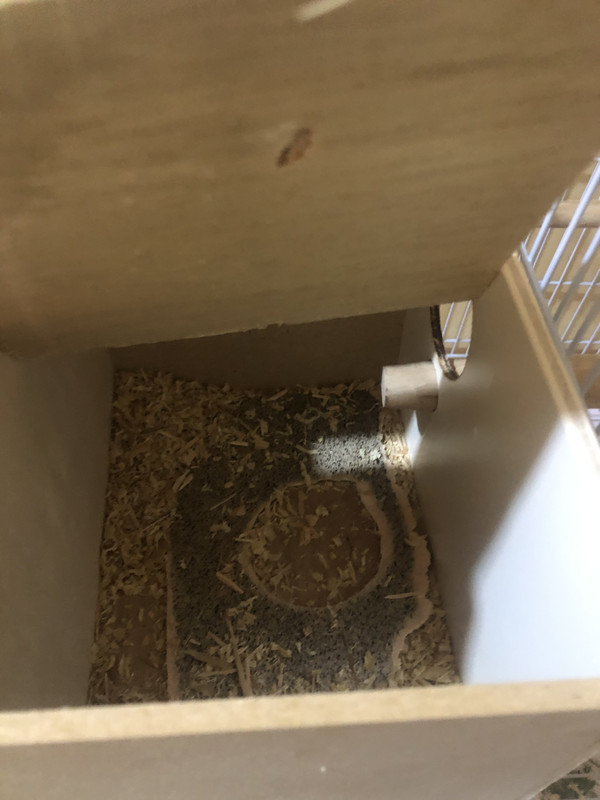 6B0E9CAF-16BD-4B0E-962F-E1D068D40F28