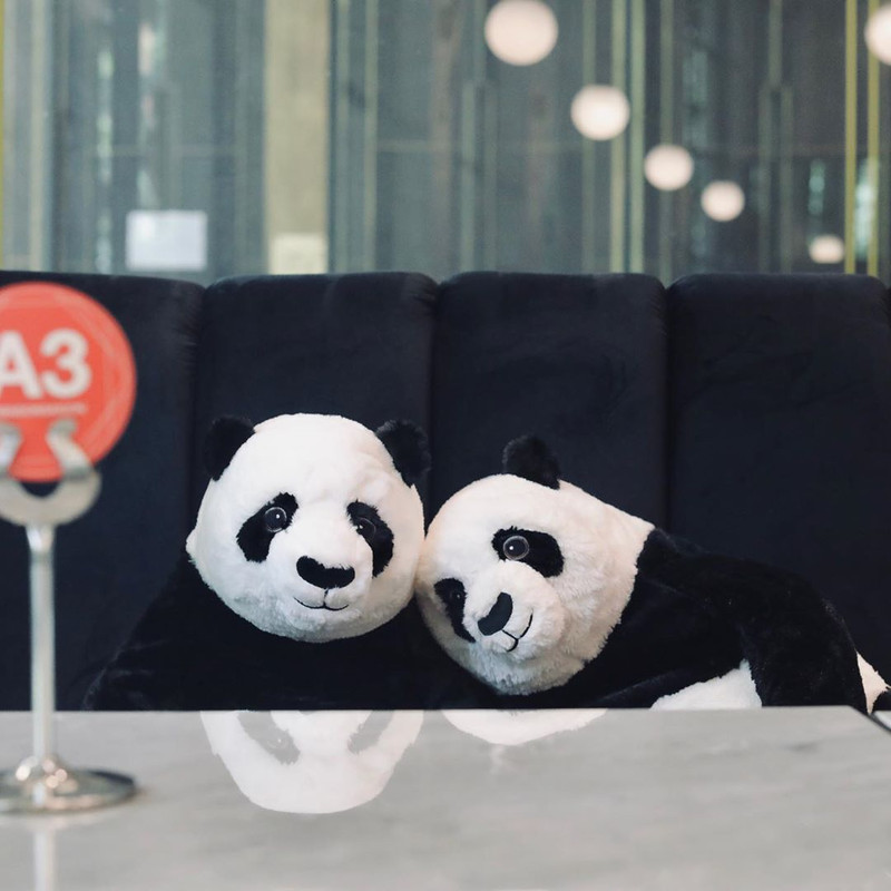 Boneka panda yang diletakkan di kursi untuk temani tamu saat makan di restoran