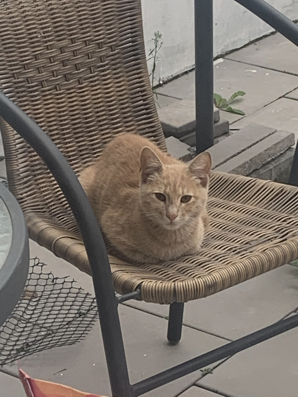 76124AB7-5844-4B3D-A11E-CB46D63BDF3E