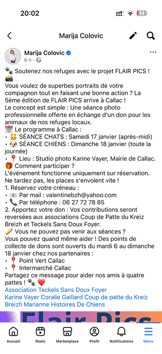 [Image: IMG-5066.png]