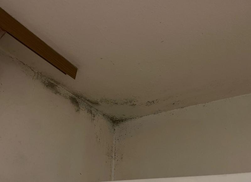 Screen Shot 2025 12 30 at 11 37 26